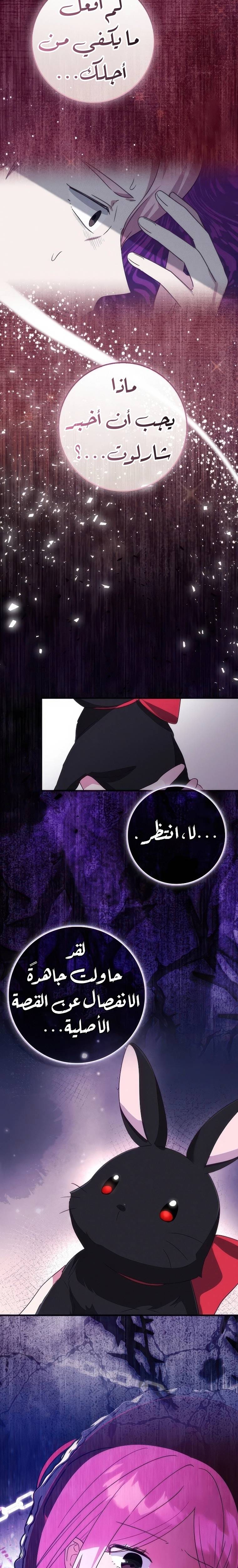 الصفحة 23