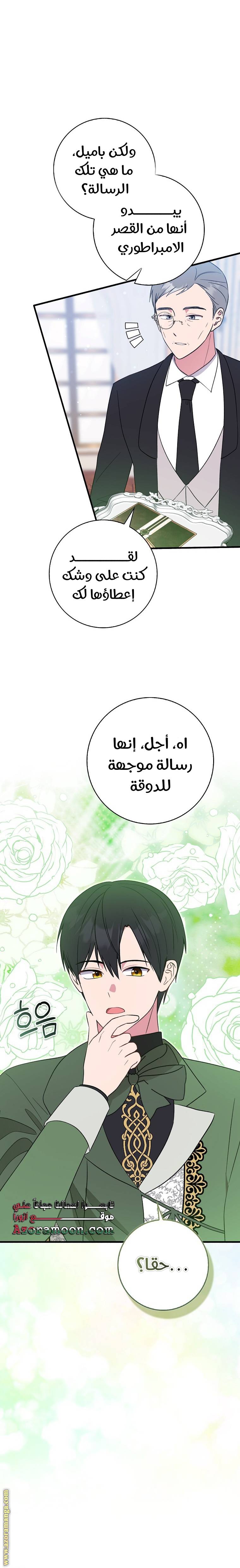 الصفحة 16