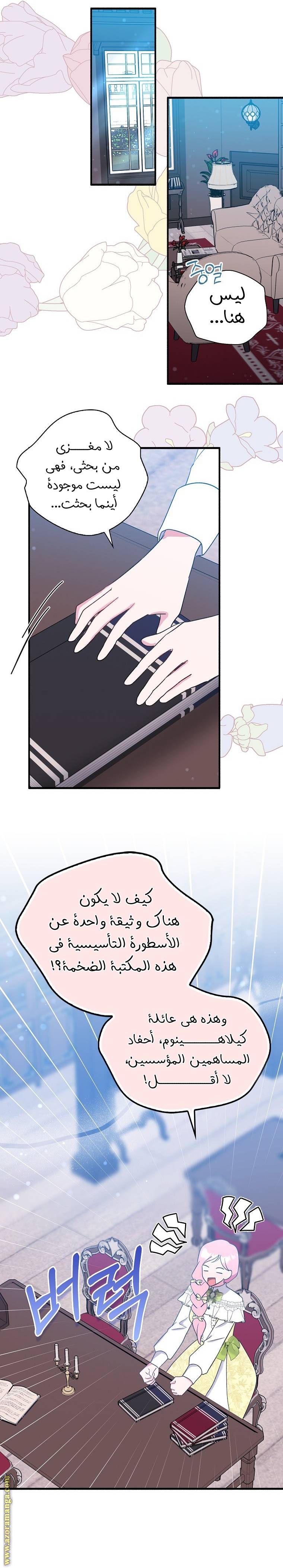 الصفحة 17