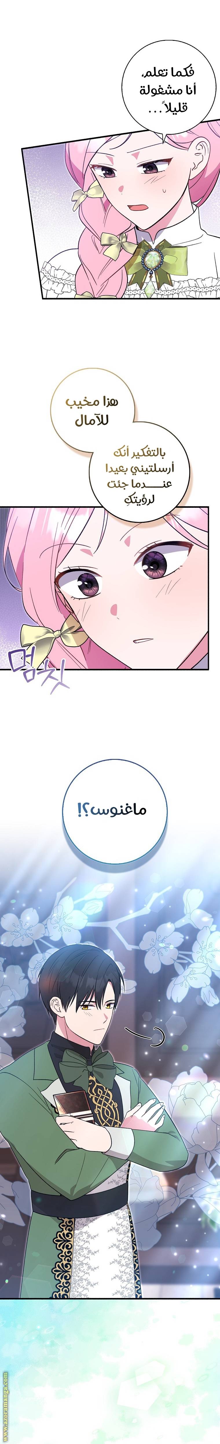 الصفحة 19
