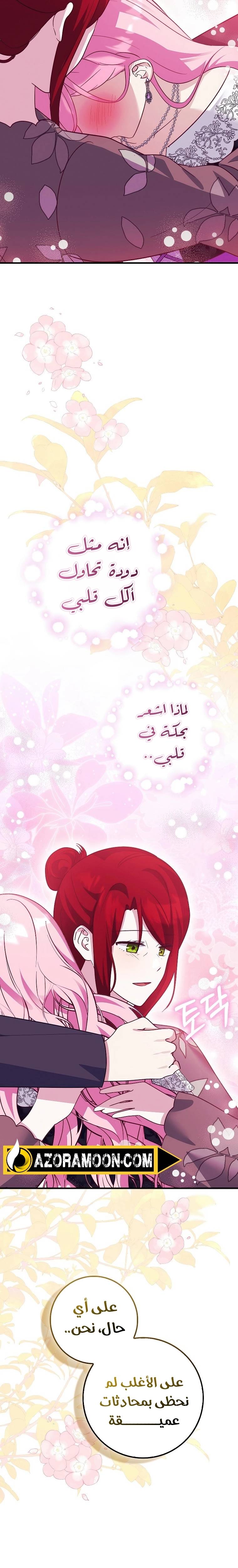 الصفحة 19