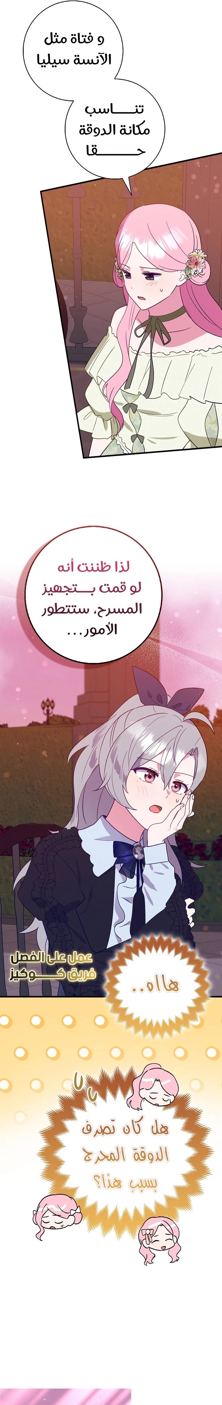 الصفحة 17