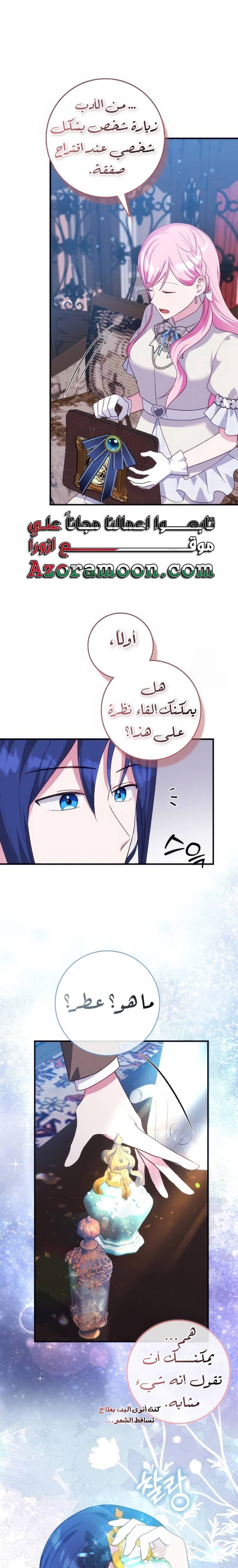 الصفحة 17