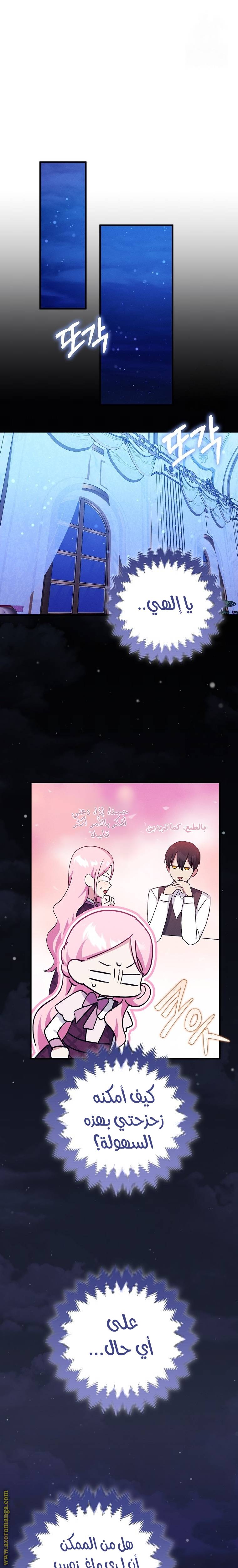 الصفحة 16