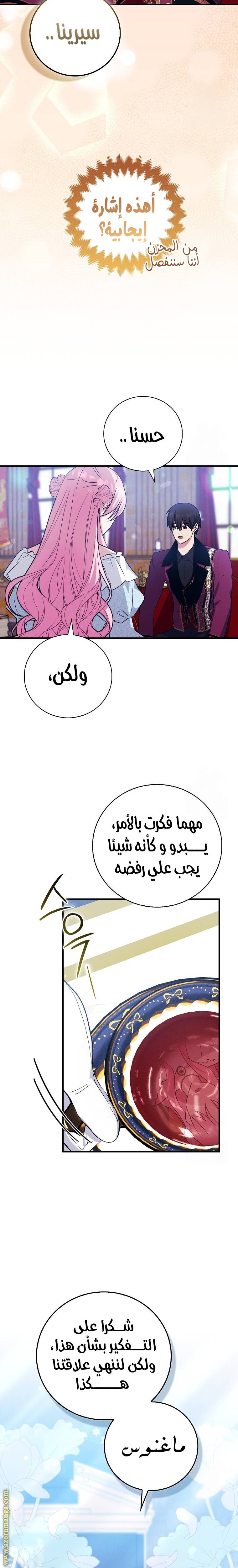 الصفحة 23