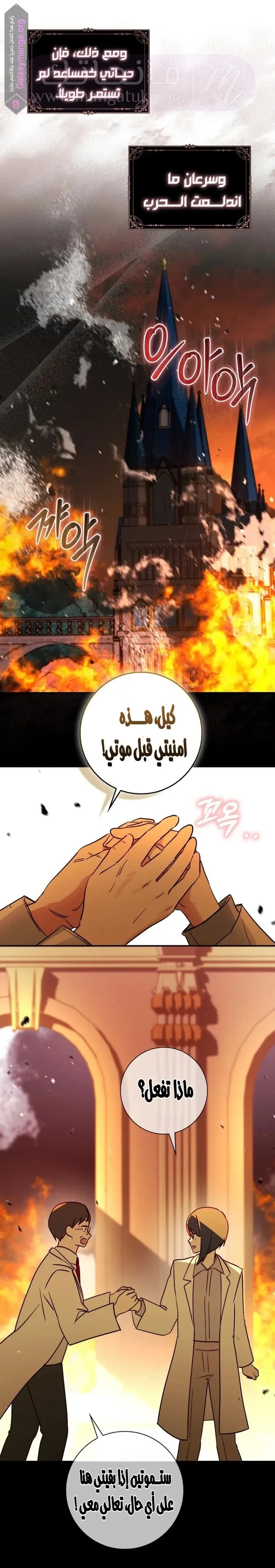 الصفحة 17