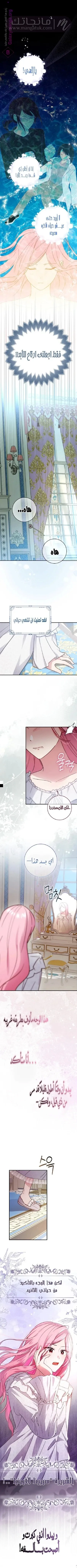 الصفحة 20