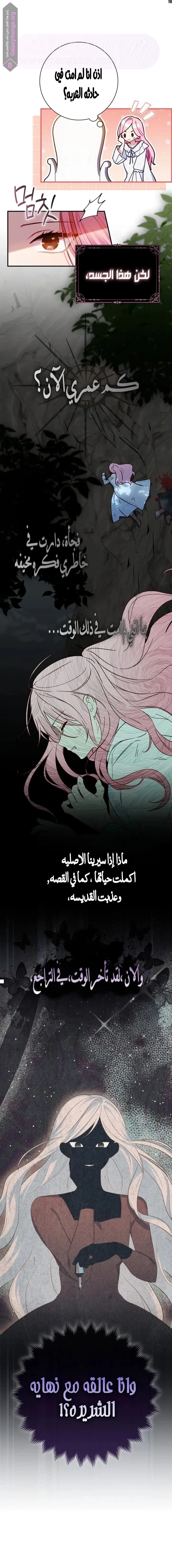 الصفحة 21