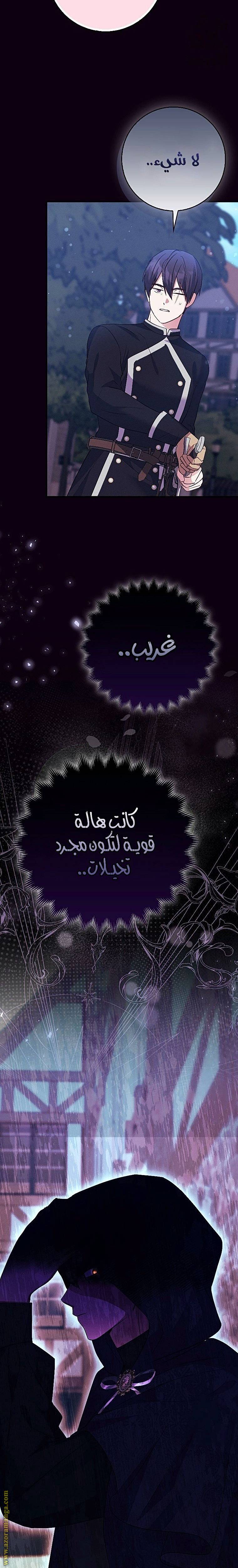 الصفحة 27