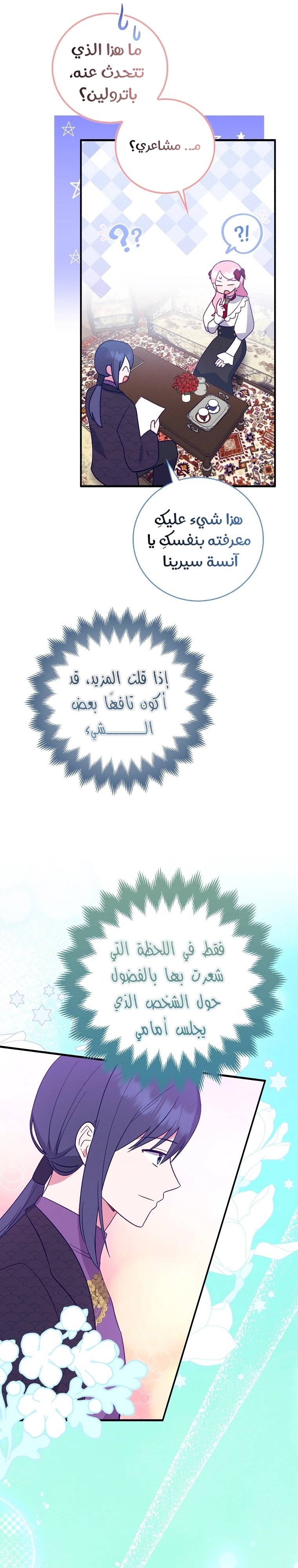 الصفحة 17