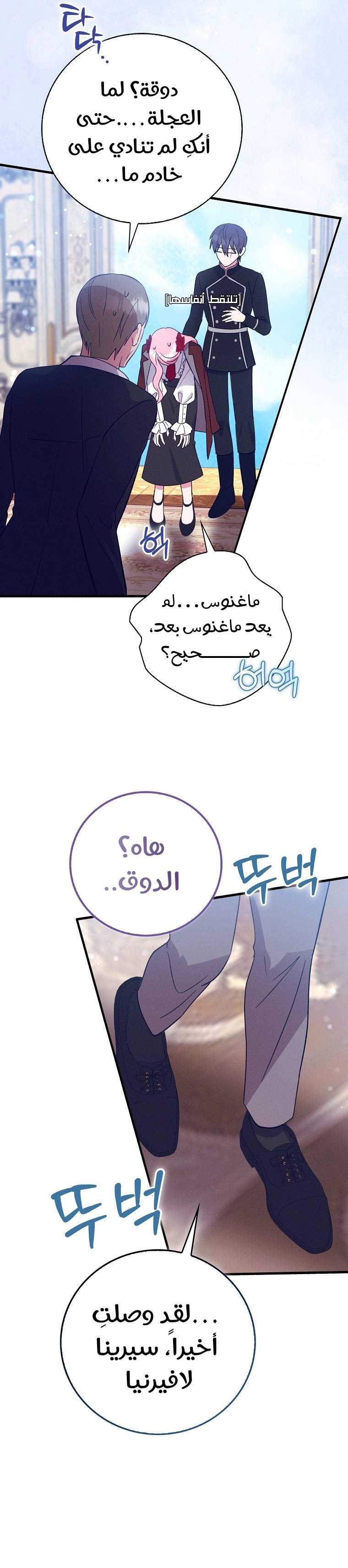 الصفحة 23
