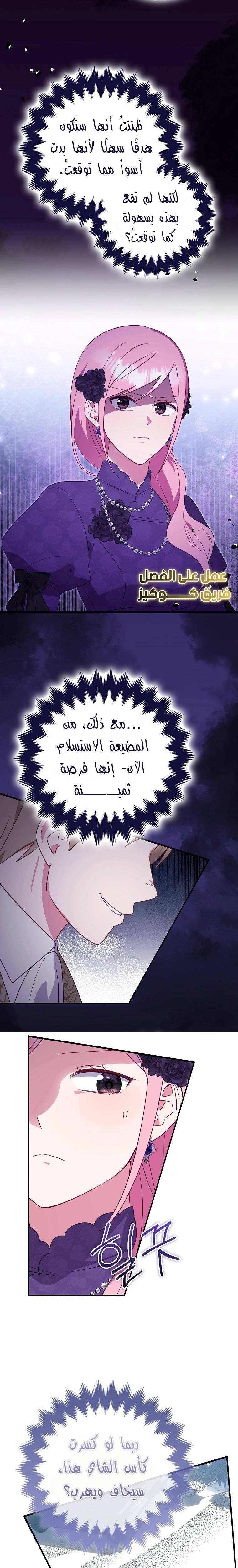 الصفحة 14