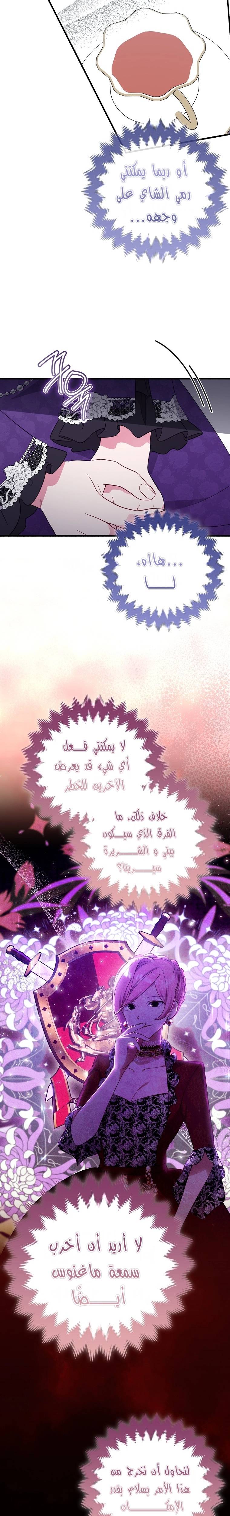 الصفحة 15