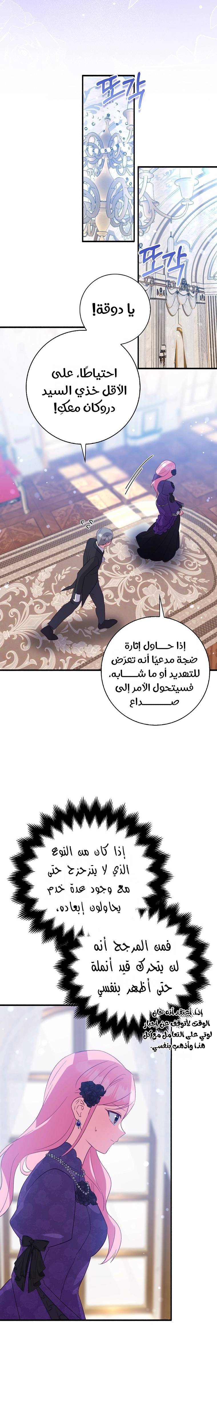الصفحة 17