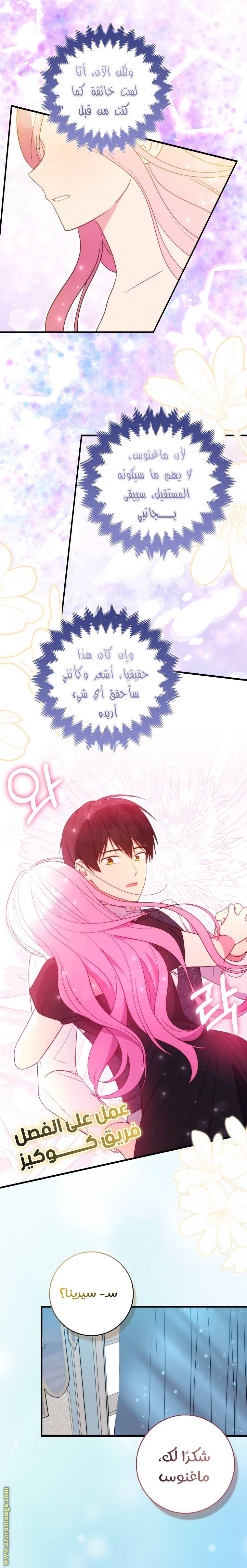 الصفحة 17