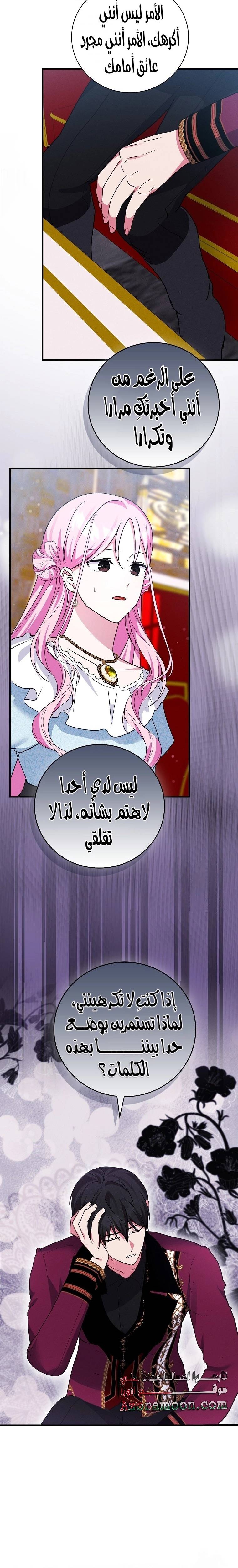 الصفحة 17