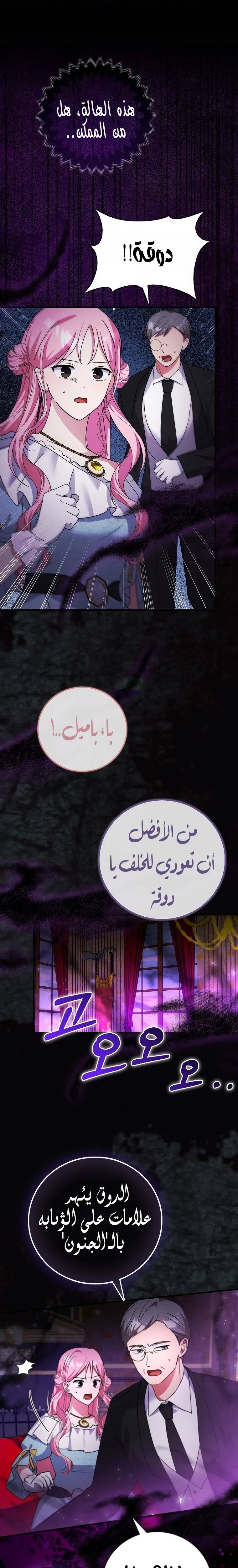 الصفحة 24