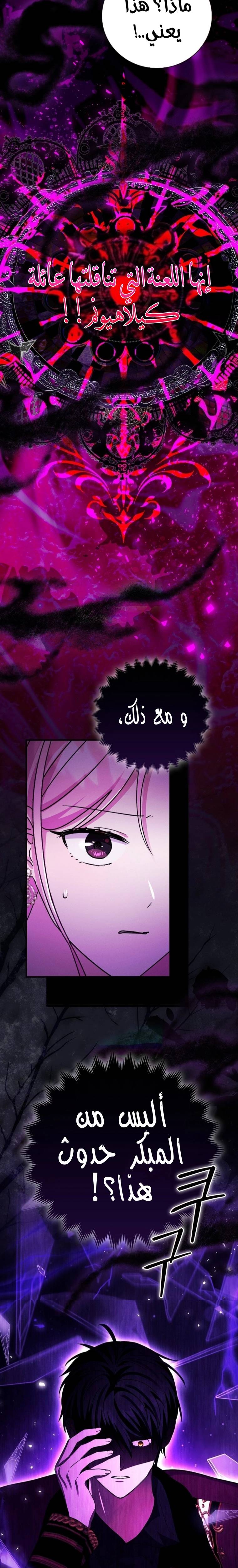 الصفحة 25