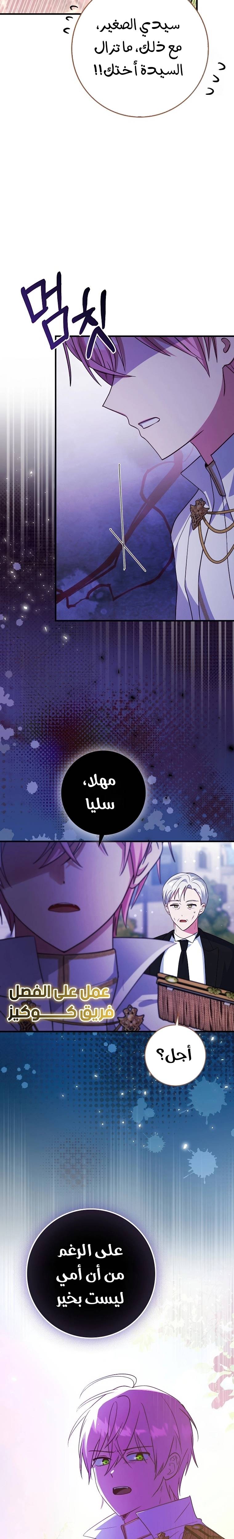 الصفحة 25