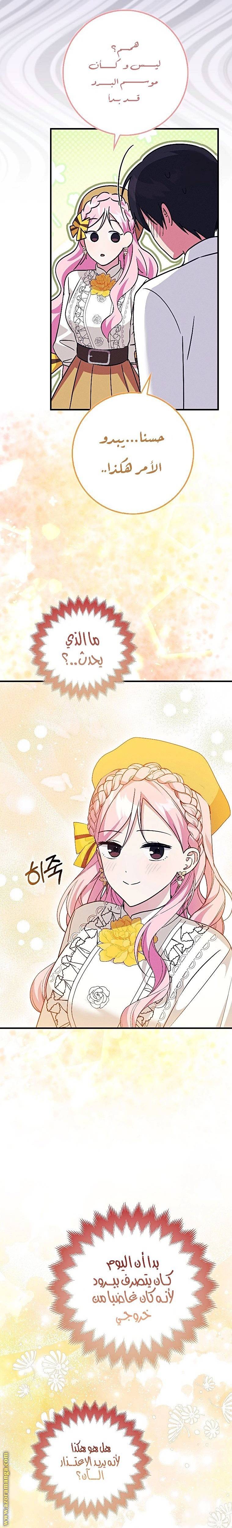 الصفحة 19