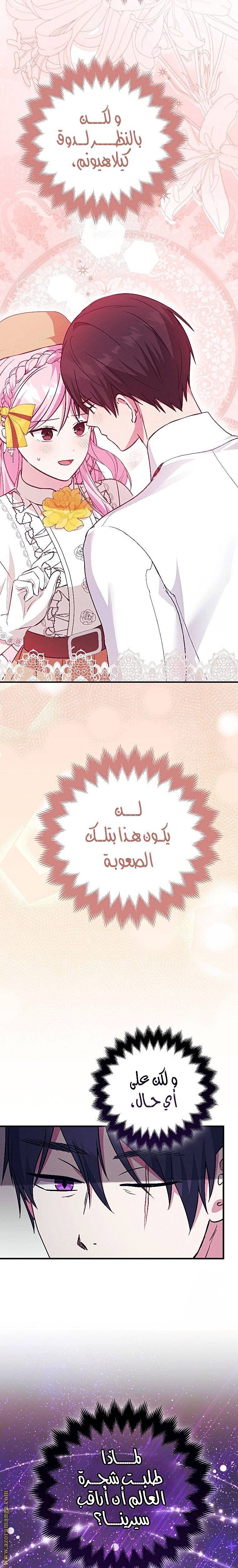 الصفحة 24