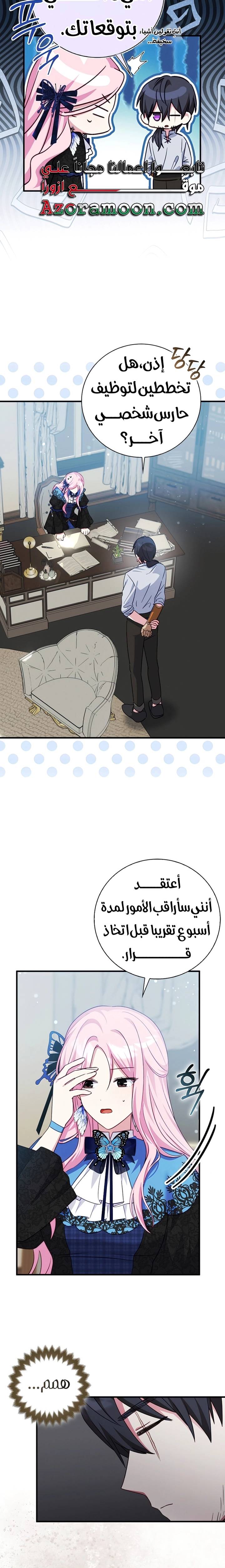 الصفحة 17