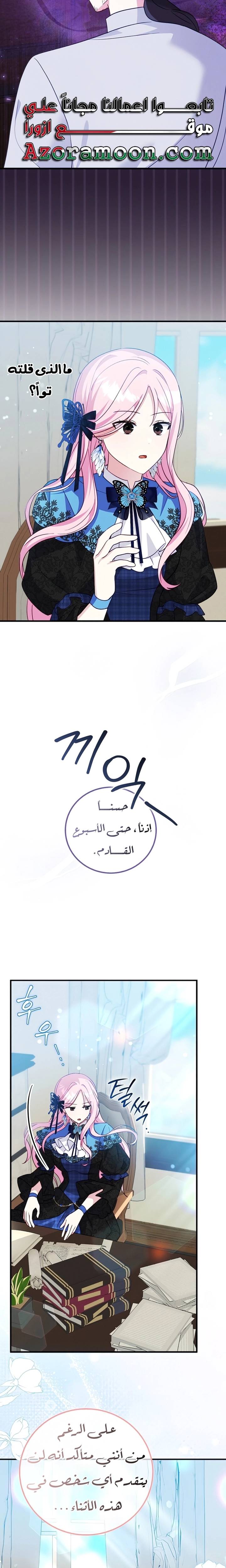 الصفحة 19
