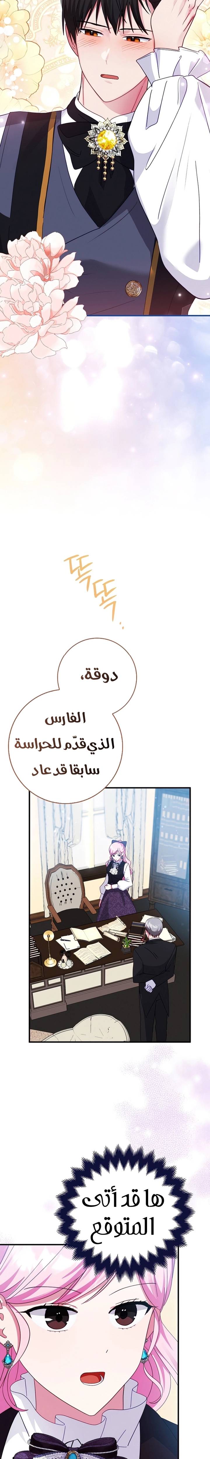 الصفحة 12