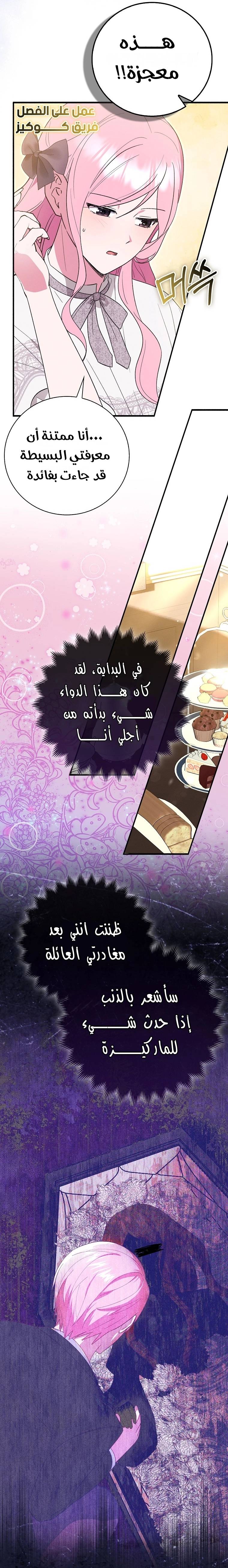 الصفحة 17