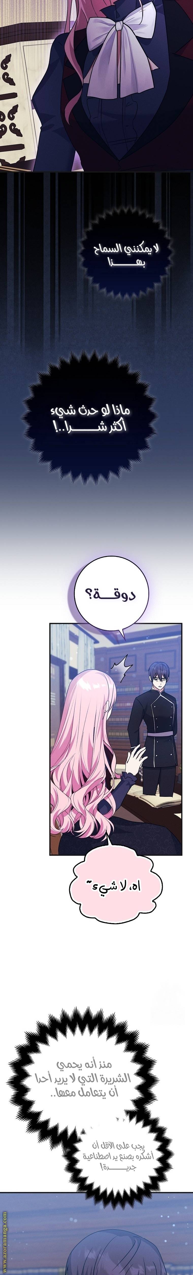 الصفحة 17