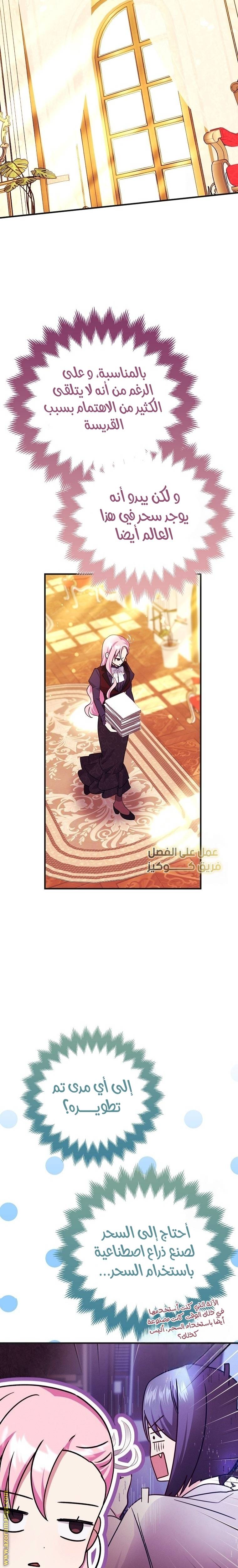 الصفحة 19