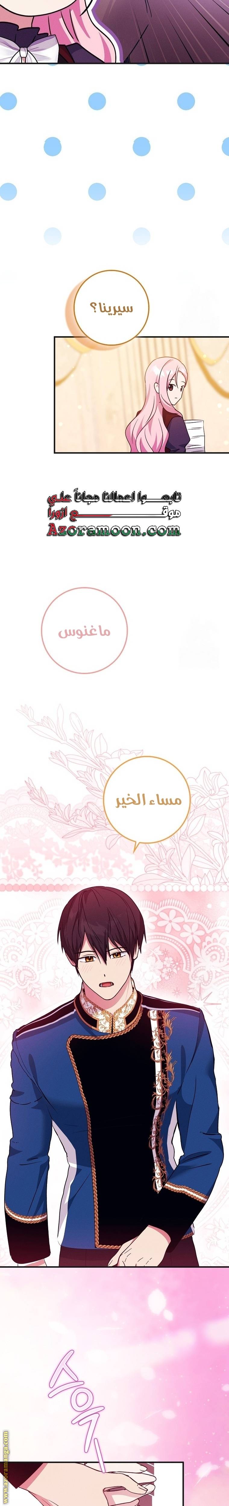 الصفحة 20