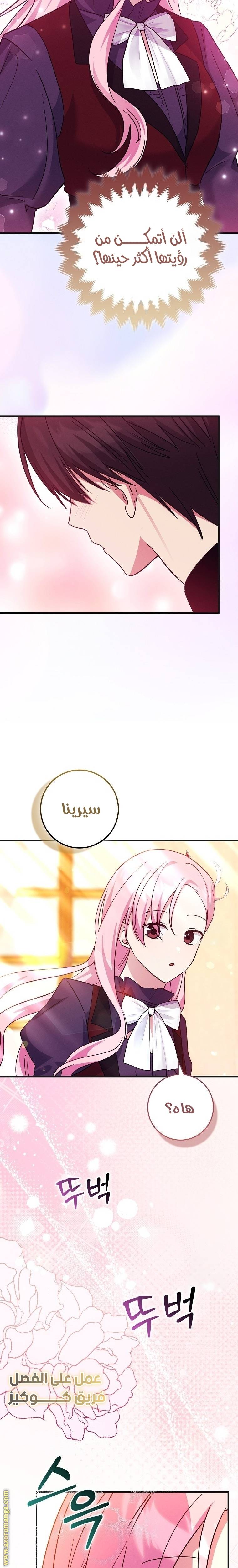 الصفحة 26