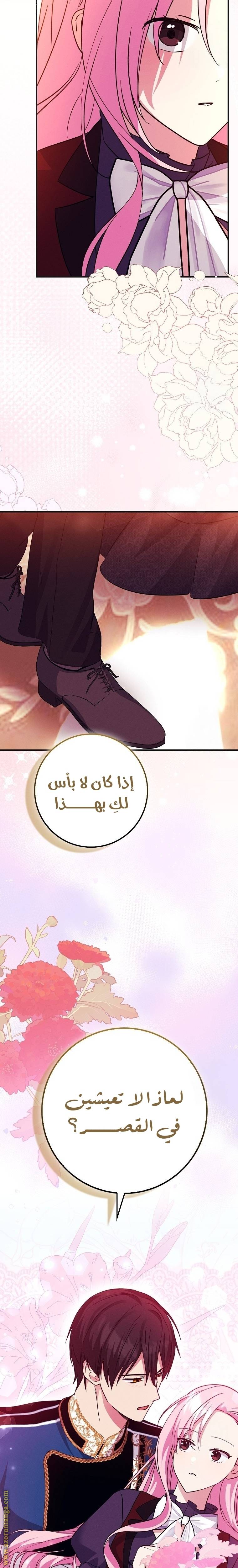 الصفحة 27