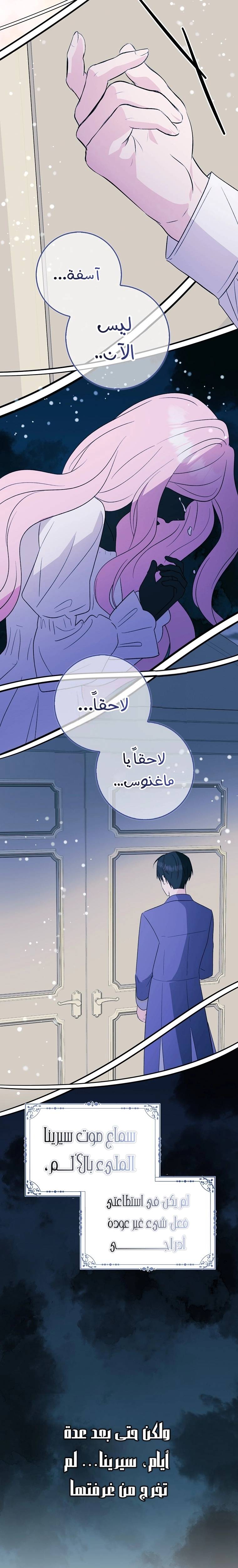 الصفحة 13