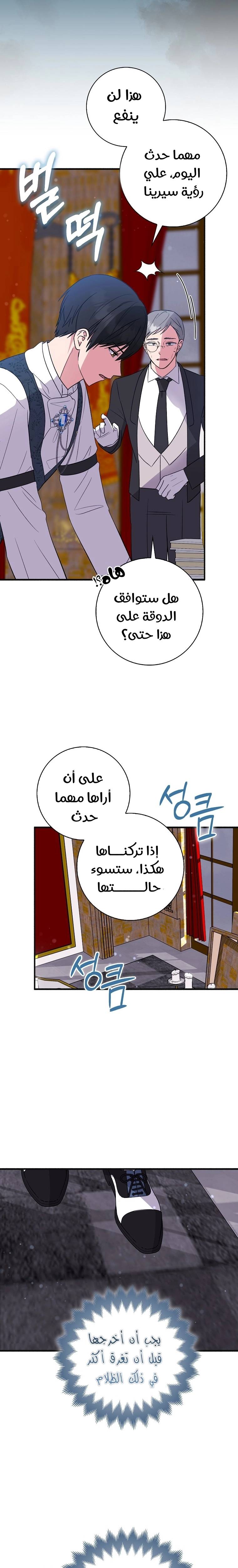 الصفحة 14