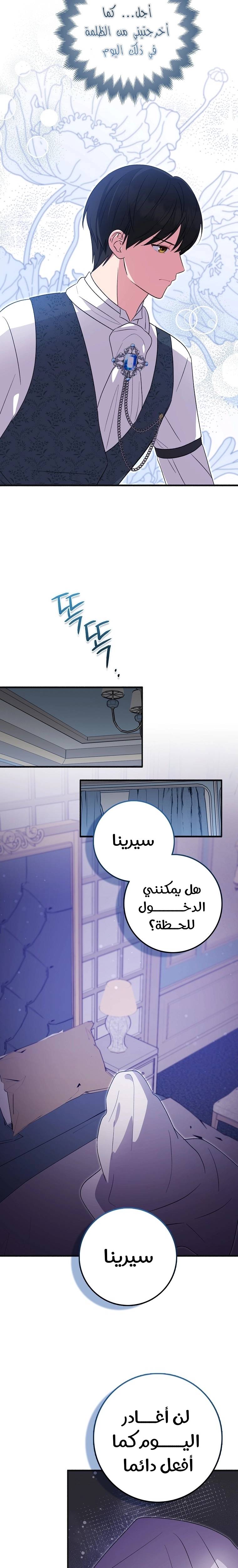 الصفحة 15