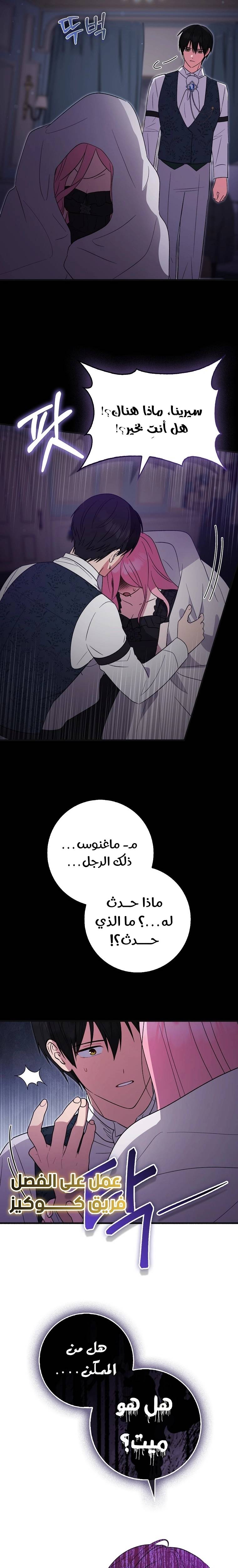 الصفحة 17