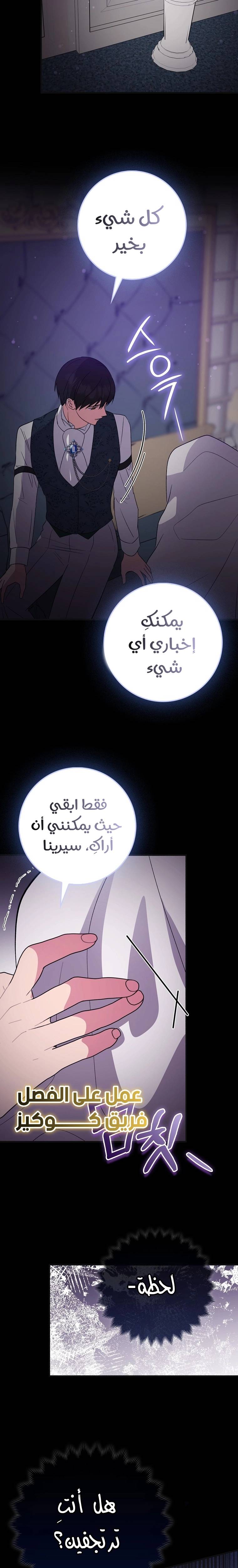 الصفحة 19