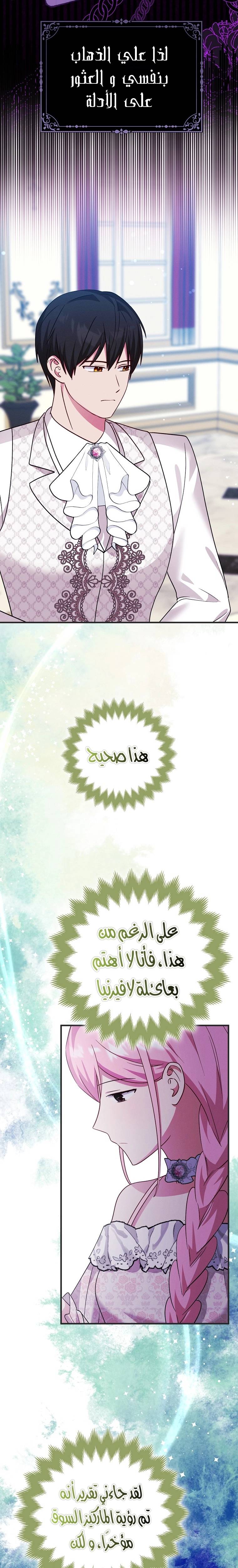 الصفحة 17