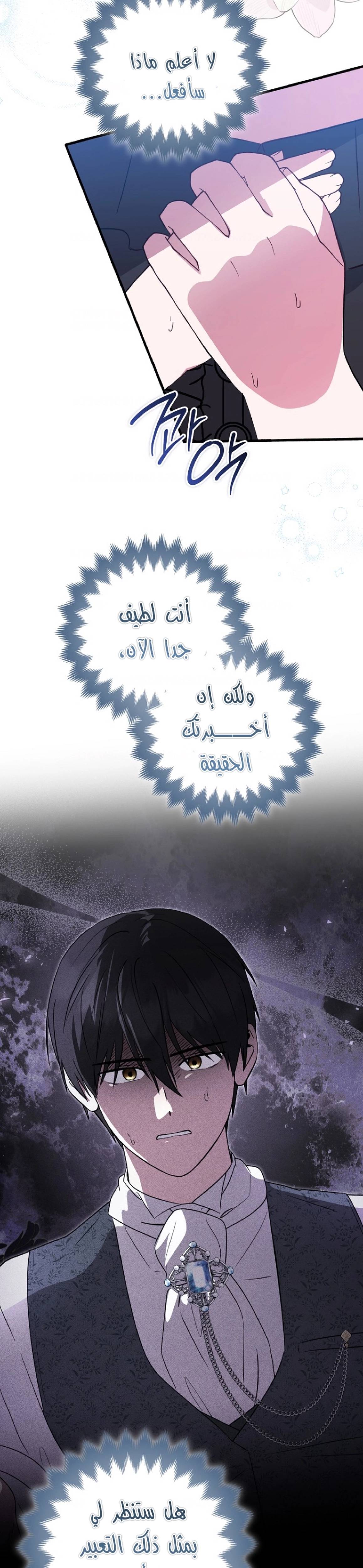 الصفحة 22