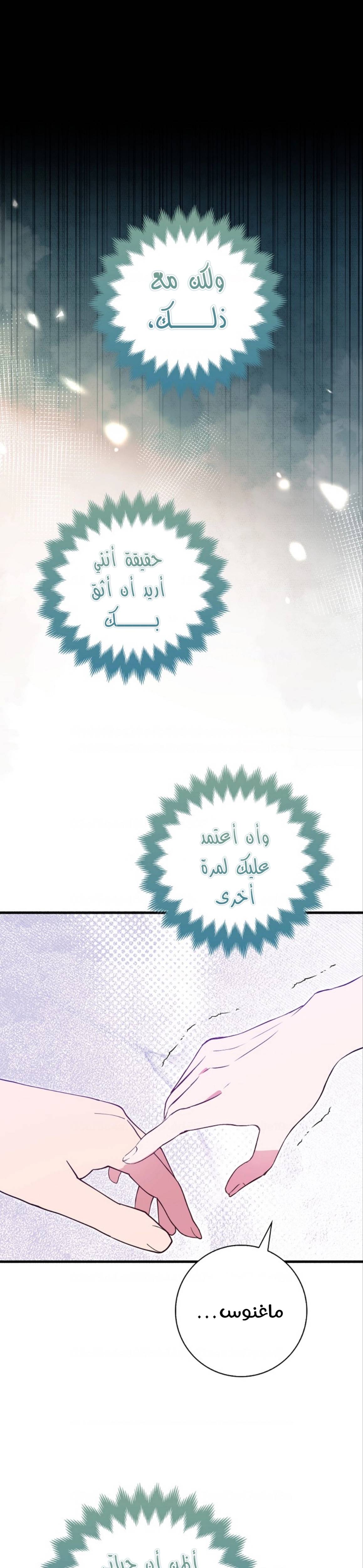الصفحة 24