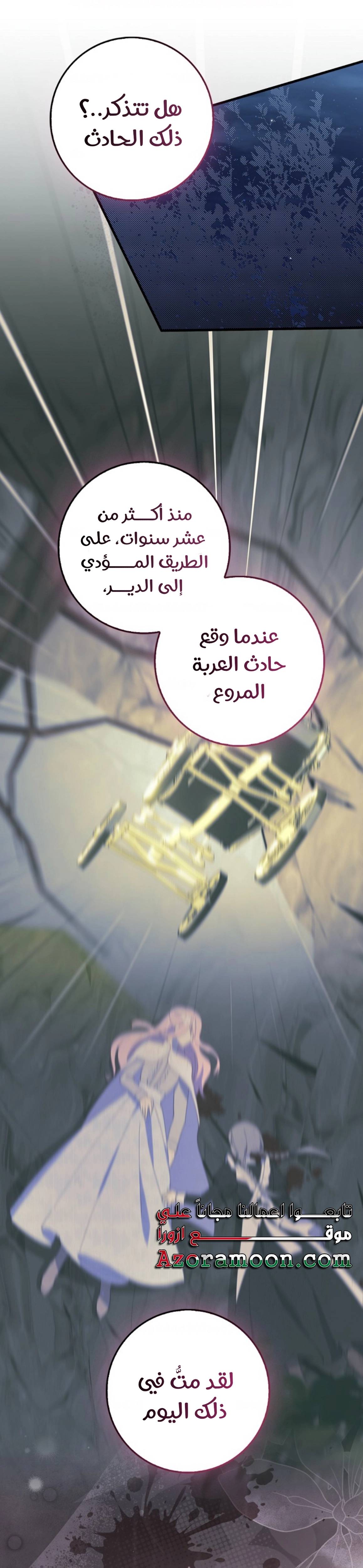 الصفحة 26
