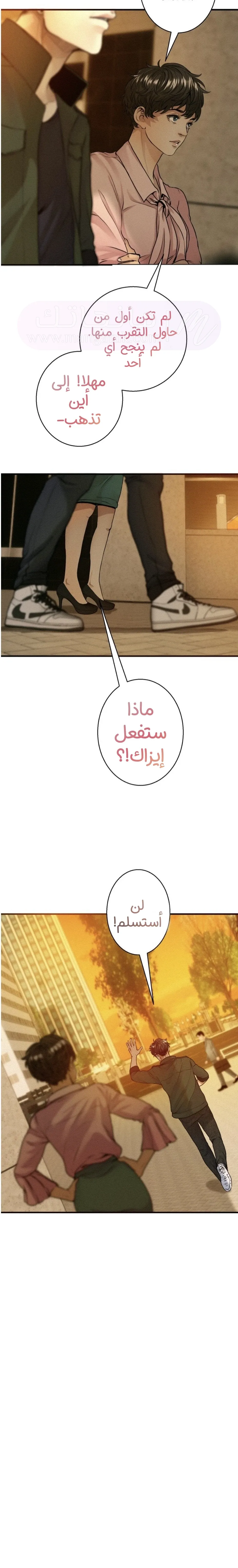 الصفحة 3