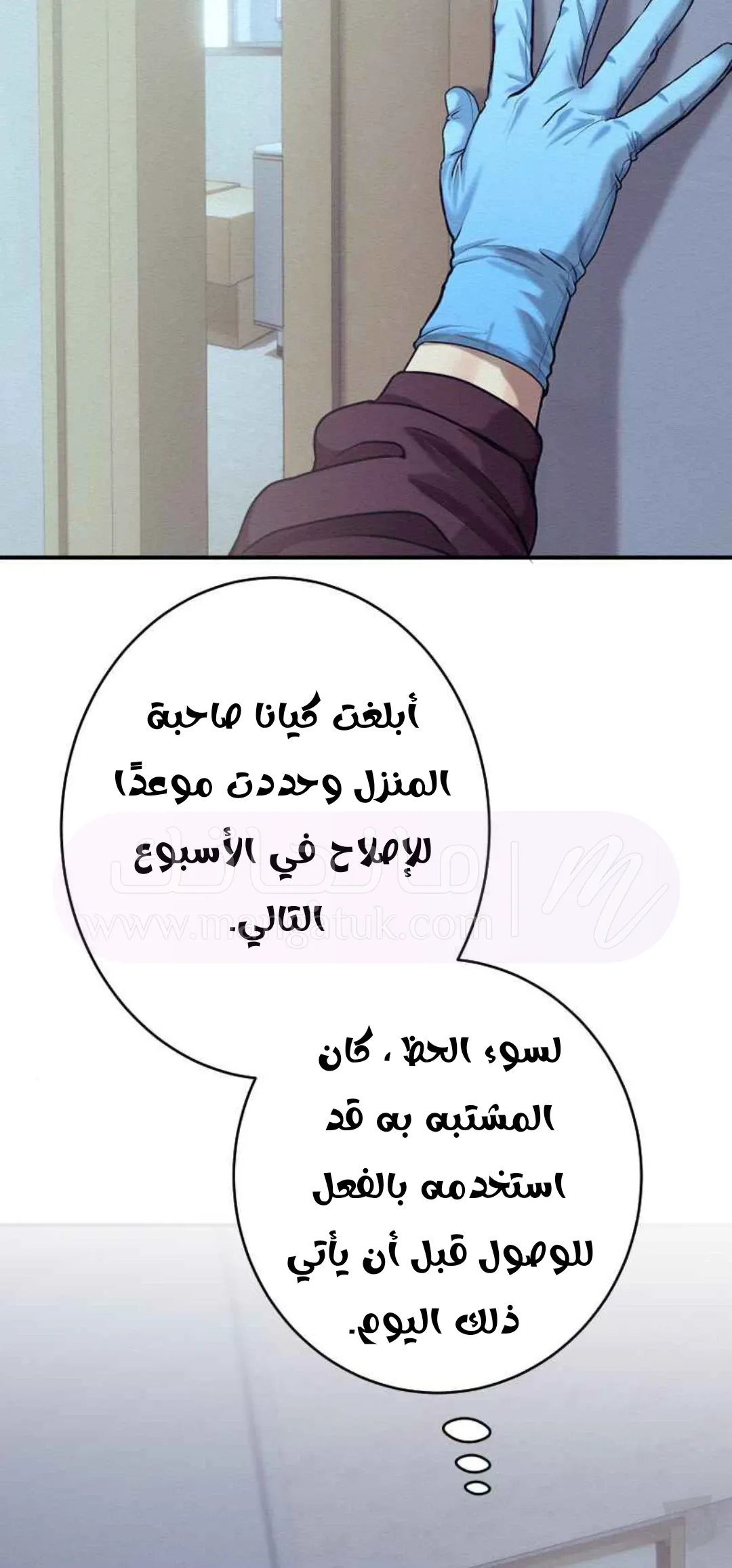الصفحة 11