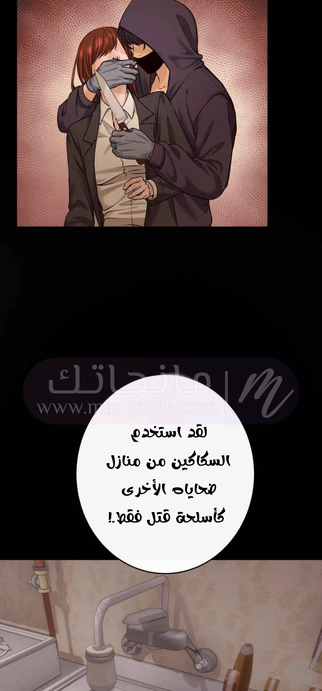الصفحة 17