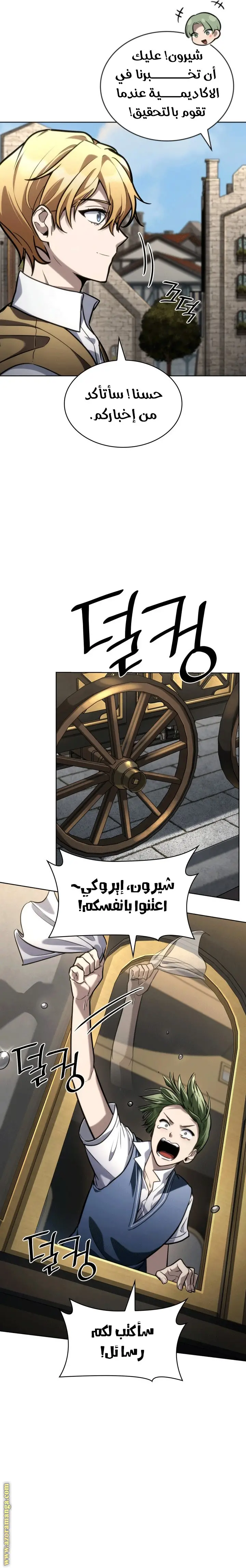الصفحة 17