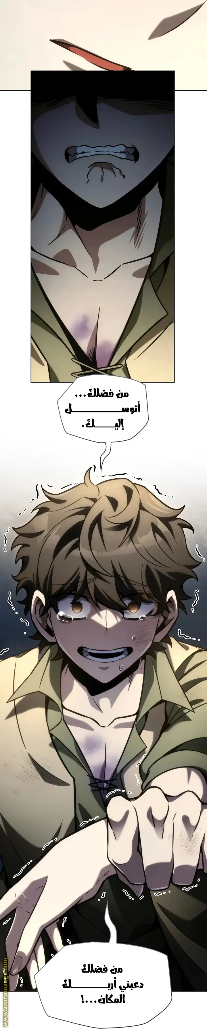 الصفحة 17