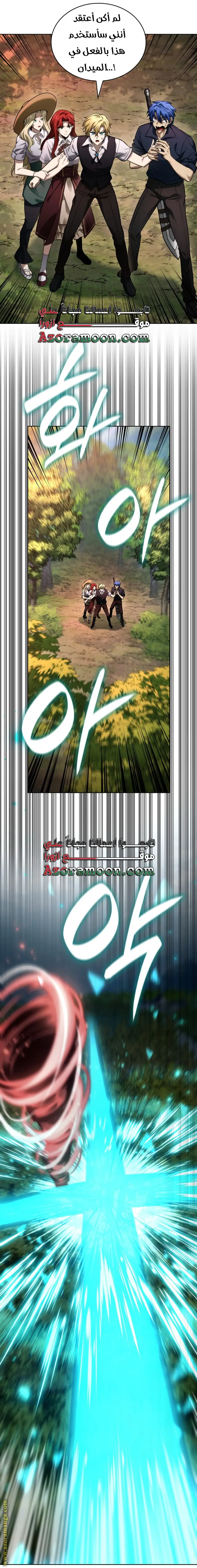 الصفحة 13