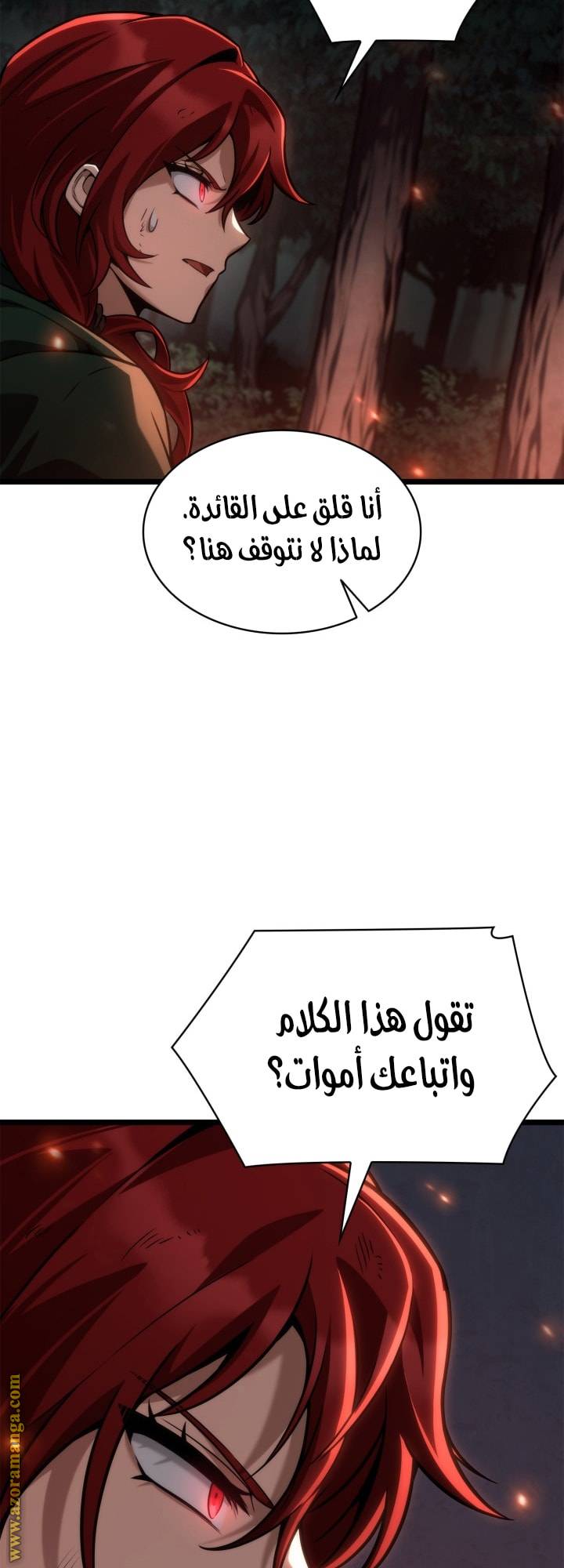 الصفحة 17